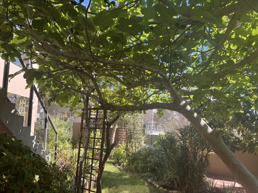 4 Bedroom Property for Sale in Monte Christo Western Cape
